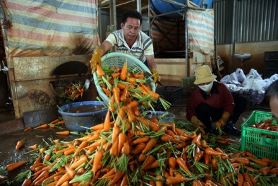 Đà Lạt tiếp tế rau, củ sạch cho vùng rốn lũ miền Trung